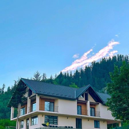 Silver Mountain Villa Colibiţa Екстериор снимка