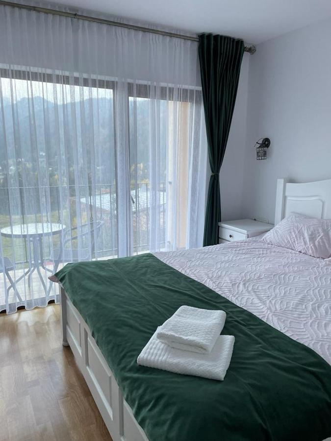 Silver Mountain Villa Colibiţa Екстериор снимка